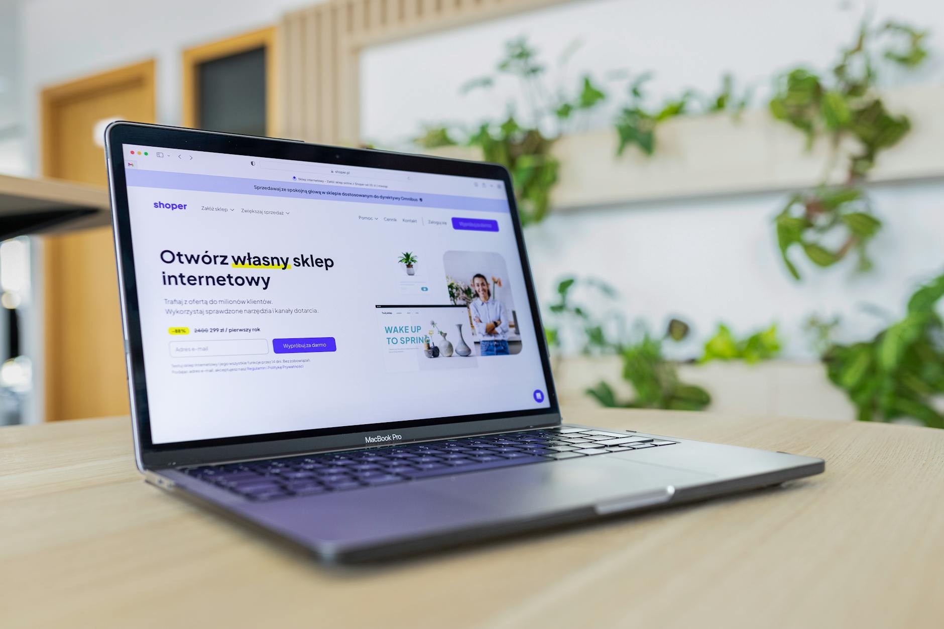 Online Liquidation Websites in Germany: Platforms, Legal Requirements, and Best Practices